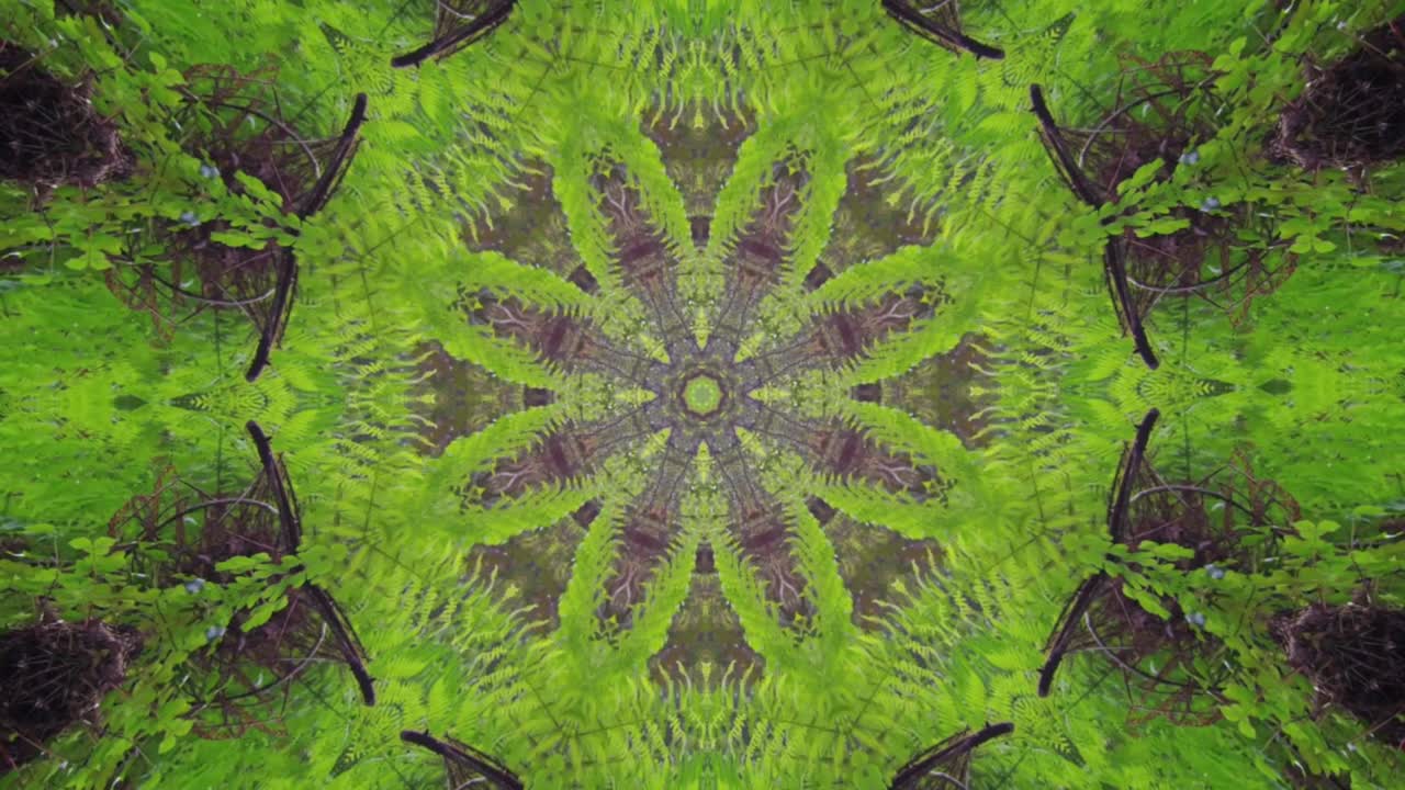 caleidoscopio geométrico patrón animado resumen naturaleza