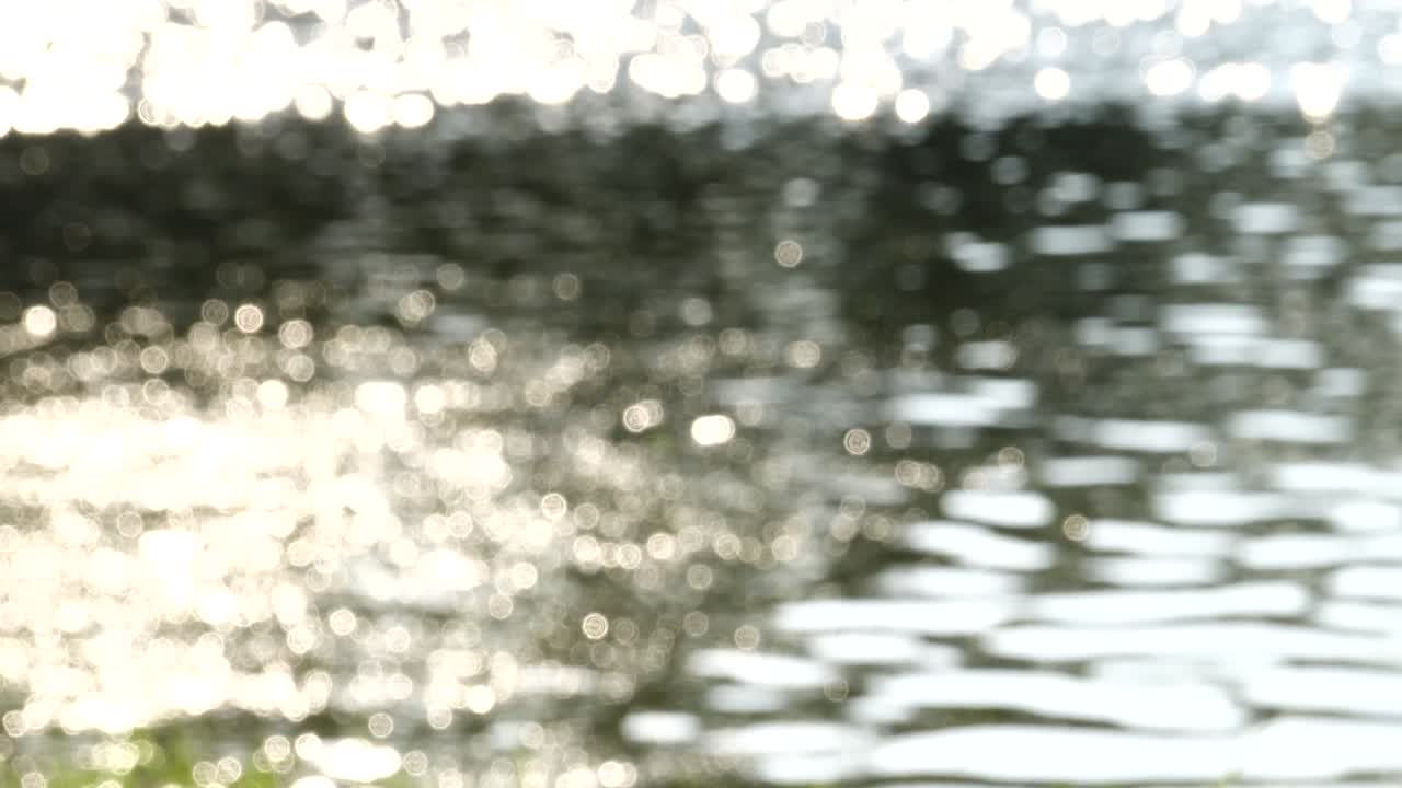 보케 배경 녹색 자연 추상적인 여름의 아름다움 물 빛 밝은 흐릿함