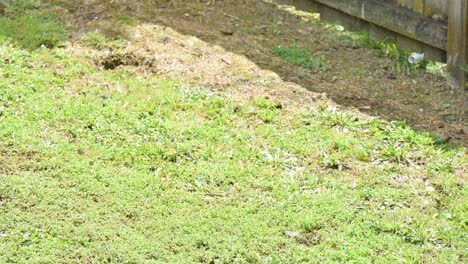 el lapso de tiempo de la sombra y la luz del sol atraviesan los huecos de la cerca en la hierba verde del suelo