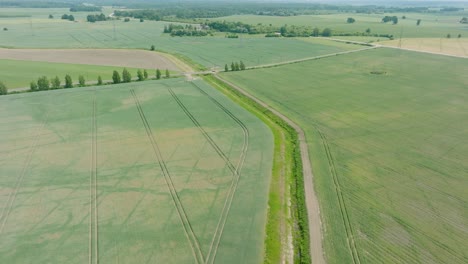 Aerial-establishing-view-of-ripening-grain-field,-organic-farming,-countryside-landscape,-production-of-food-and-biomass-for-sustainable-management,-sunny-summer-day,-wide-drone-shot-moving-forward