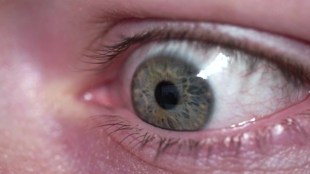 장치 화면을 보는 인간의 눈