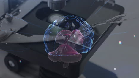 animación de la rotación del cerebro humano y procesamiento de datos mediante el uso de un microscopio de laboratorio