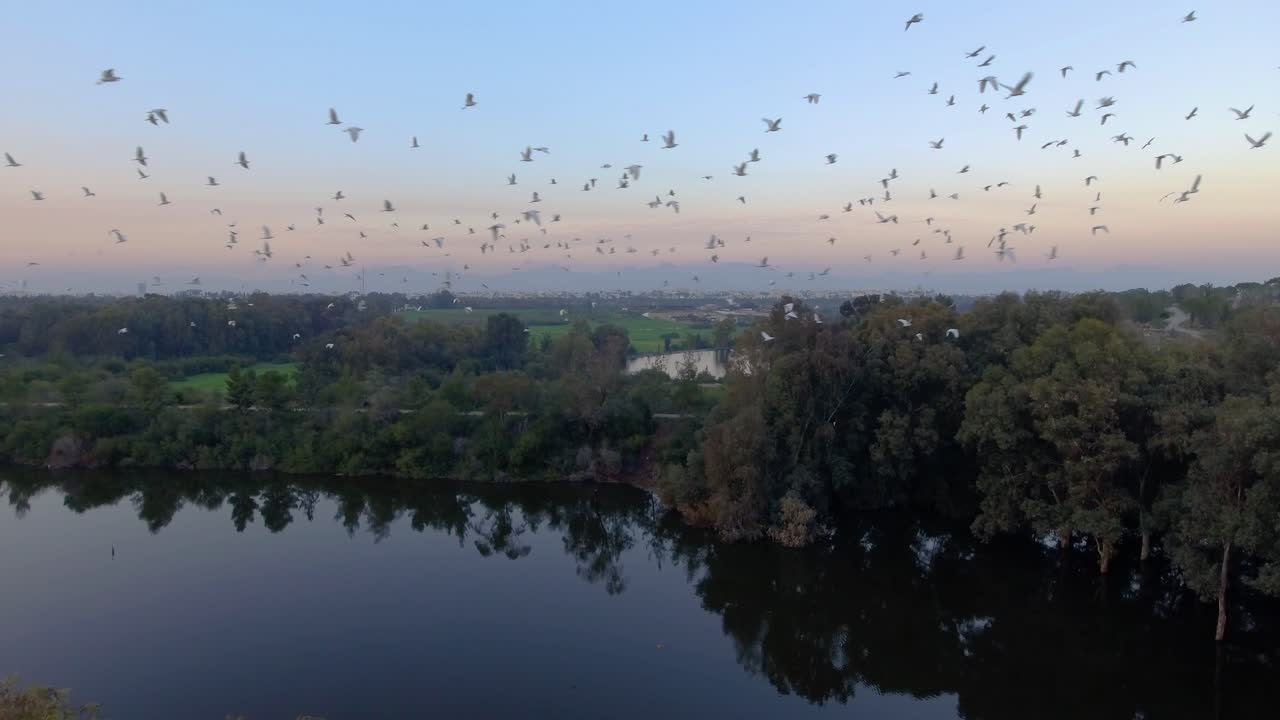 오후 늦게 키프로스 니코시아 호수댐 위를 날아다니는 오리 떼