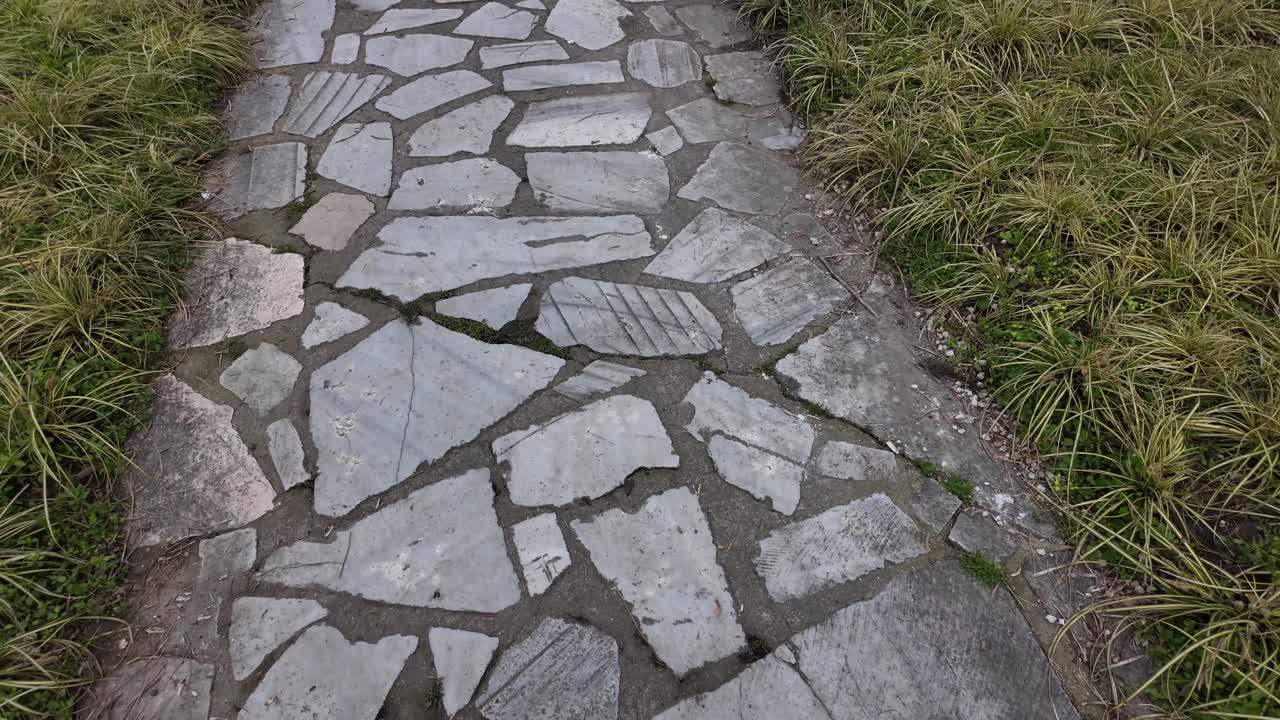 Stone pathway through a garden