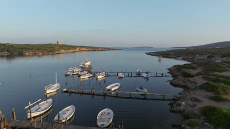 Small-dinghies-docked-in-still-waters-at-Sa-Nitja-natural-port,-Spain