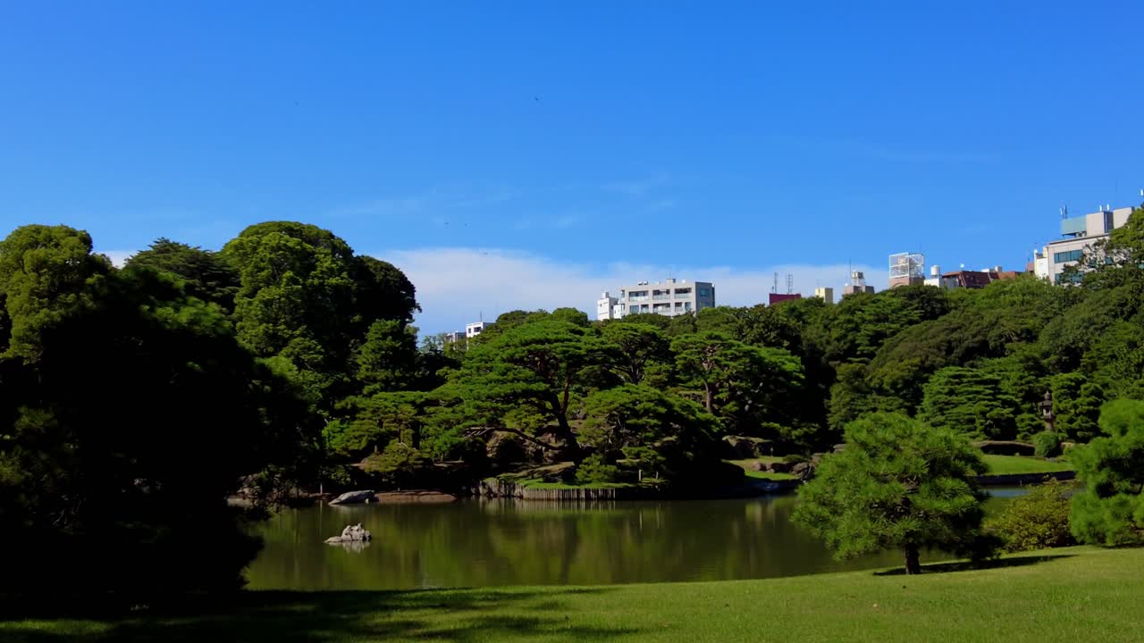 el hermoso parque de tokio.