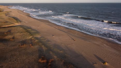 aerial orbit shot of man walking on sandy beach with dogs during sunset time - beautiful idyllic landscape with dunes and atlantic ocean in uruguay