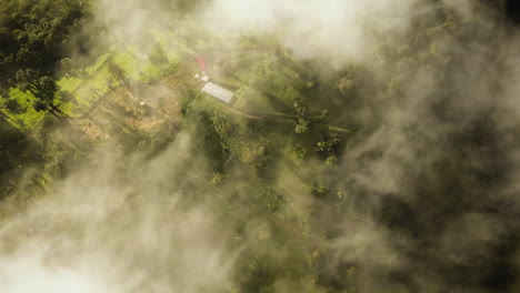 niebla formándose sobre una granja en una hermosa selva tropical