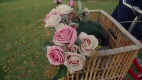 pink and white roses in a bicycle basket