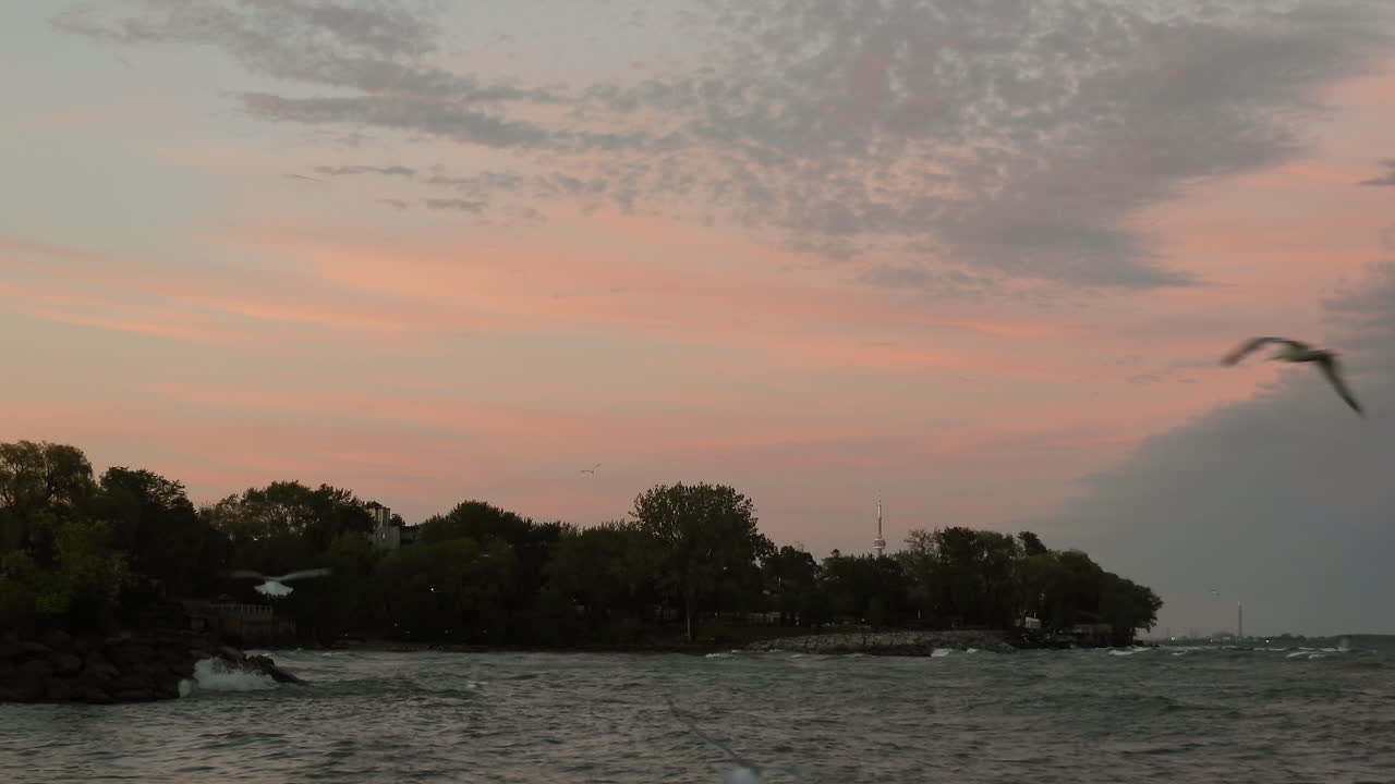 The sun sets over the coast as a large flock of gulls fly around in the pink sky