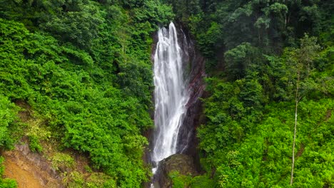 waterfall in the tropical forest.