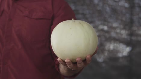 a man holding a honeydew melon in his left hand, he wear a magenta shirt in a gray backdrop