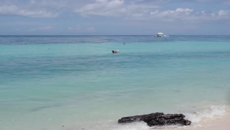 buceadores en el mar azul claro en la playa en bohol, filipinas en verano