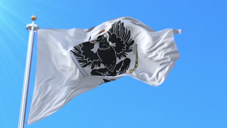 kingdom of prussia flag. loop