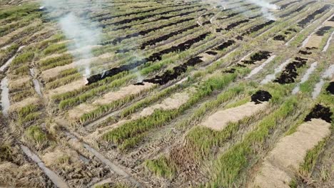 residuos agrícolas de fuego abierto.