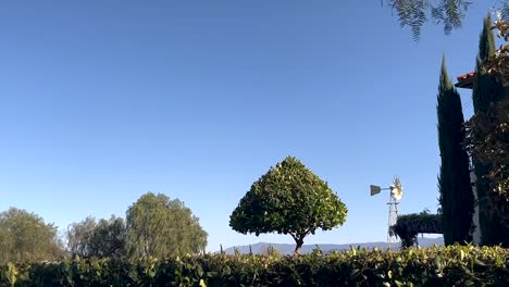 scenic winery landscape with blue sky, trees and windmill in distance in california