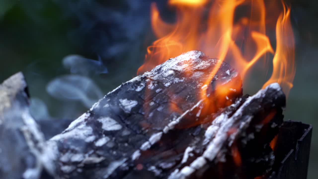 Bonfire. Burning Wood. Concept of camping and active pastime.