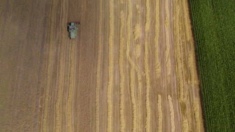 aerial view of a combine cutting golden wheat