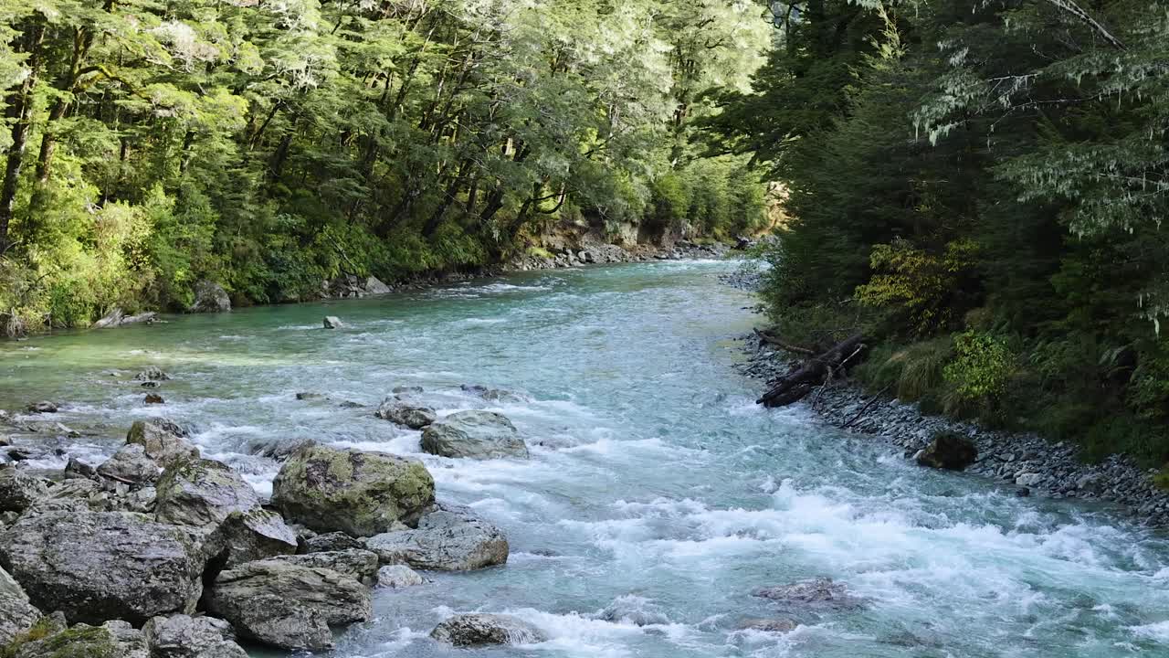A fast-flowing, clear river winds through a lush, green forest, sunlight filtering through trees. Camera remains steady, capturing natural movement and vibrant foliage