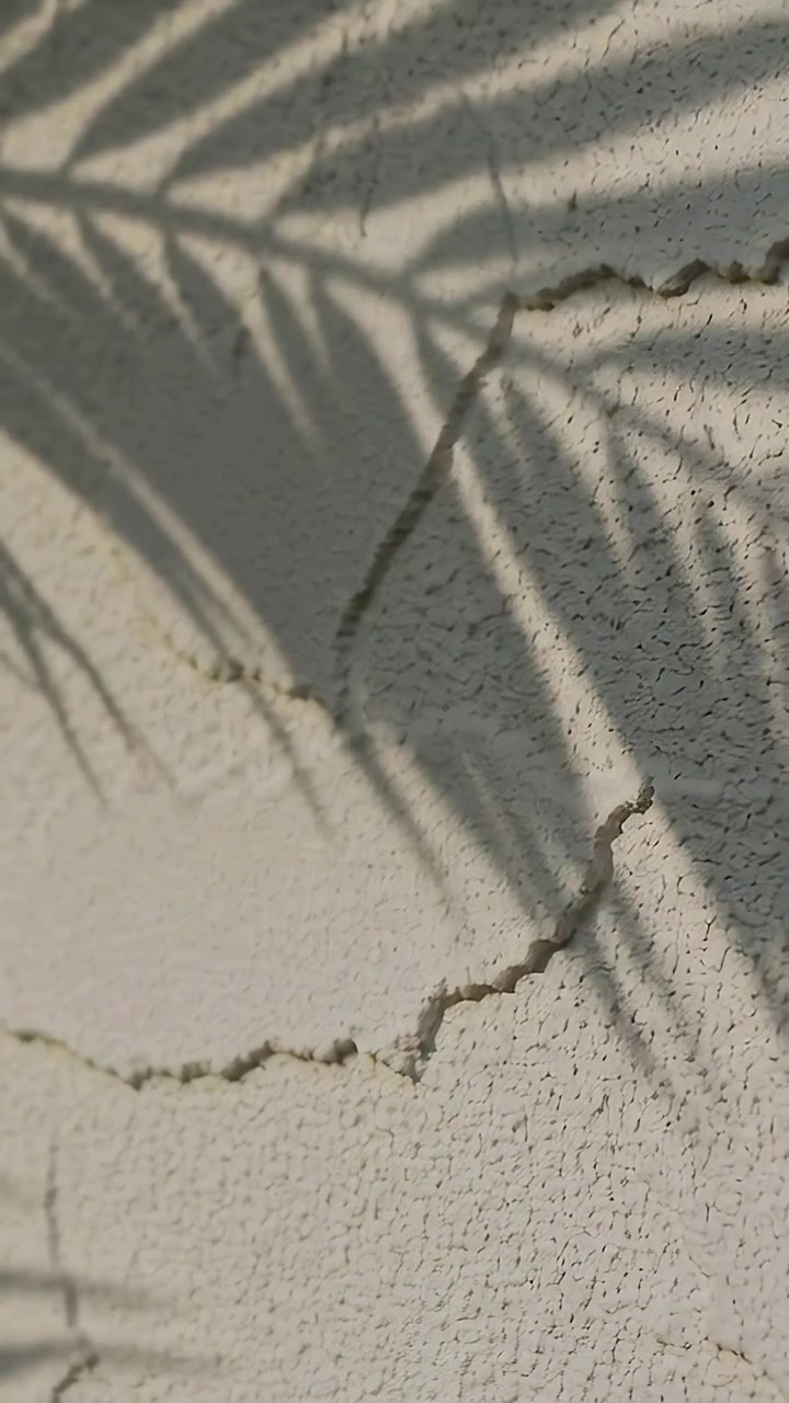 Vertical video: Swaying palm-frond shadow sweeping sunlit stucco wall over crack, pushed by breeze