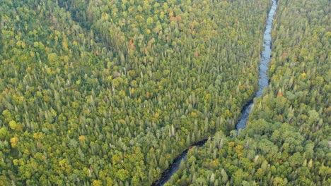 Imágenes-De-Drones-Volando-Hacia-Un-Tramo-Recto-En-Un-Arroyo-Del-Bosque