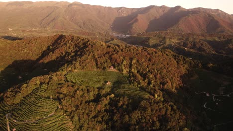 Aerial-landscape-view-over-the-famous-prosecco-hills-with-many-vineyard-rows-and-mountains-in-the-background,-Italy,-at-sunrise