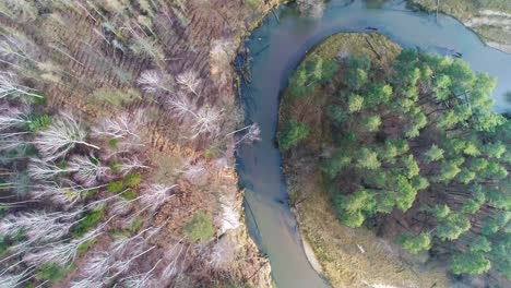 flight over winding mala panew river surrounded by forest, overhead aerial