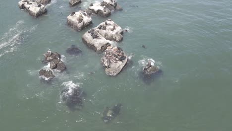 aerial top down circling view of rocks in the sea while waves hit and wind blows with some seagulls in the shot