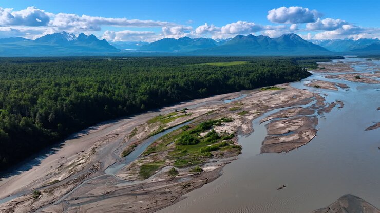 Volo sopra l'ampio delta del fiume poco profondo. Valle boscosa verde circondata da splendide montagne intorno al fiume. Giornata estiva soleggiata in Alaska
