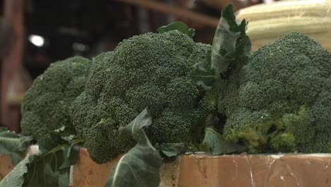 Brokli-Ist-Ein-Sehr-Gesundes-Und-Schmackhaftes-Gemüse