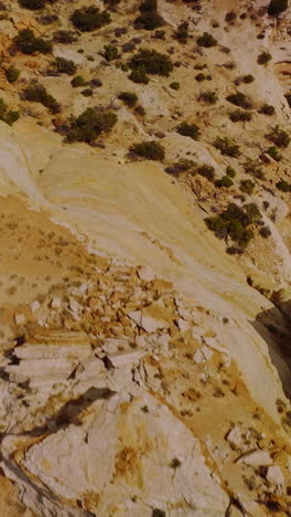 unusual shapes of rocks and landscape. sunny sandstones of utah covered with little green bushes. aerial view. vertical video