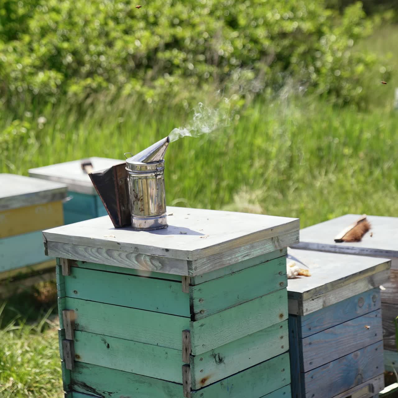 Smoker stands on a hive and smoking. Beekeeping and apiculture concept. Honey and bees. Beekeeping tool on apiary on green landscape