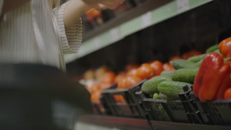 Mujer-Chica-En-El-Supermercado-Compra-Verduras.-La-Mujer-Elige-Pepinos.-Manos-De-Mujer-Tomando-Tomates-Rojos-En-El-Supermercado.-Selección-De-Cerca-Eligiendo-Pepinos-Vegetales.-Cesta-De-Compras-Saludables.