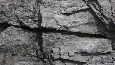 a gray granite wall showing its cracks could be used for a background