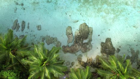 revelan una foto de un dron de una playa con palmeras, rocas y un océano claro, mahe, seychelles