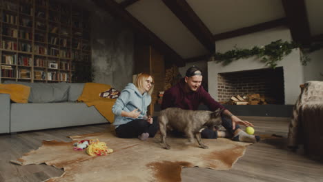 couple playing with her bulldog dog with a tennis ball on the floor in living room 1