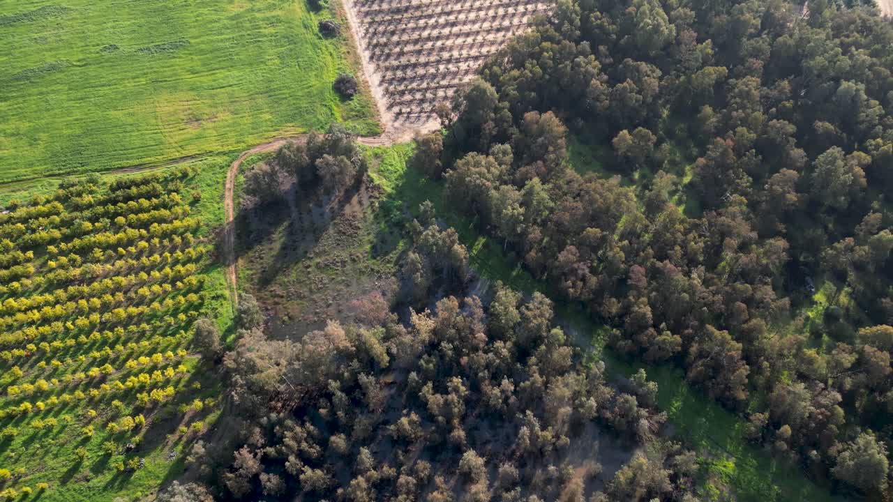 video de drones 4k del estanque de invierno rehovot, la vida aislada de la temporada de lluvias, rehovot israel