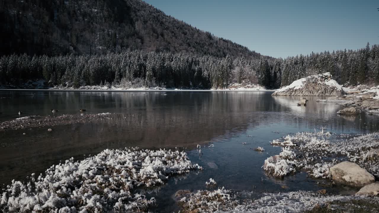 Oplev Fusine-søens fredfyldte charme, mens ænder yndefuldt udforsker dens vande.