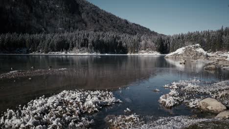 experimente el sereno encanto del lago fusine mientras los patos exploran con gracia sus aguas.