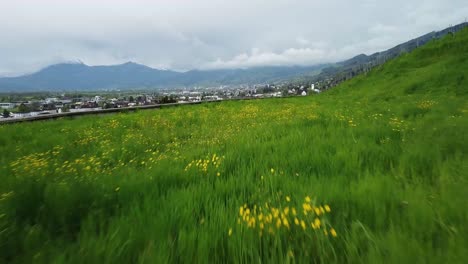 industrial-town-in-the-alps,-mountain-town,-hills-green-grass-summer-time-with-vineyards