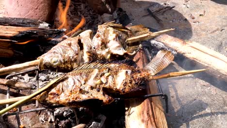 Drehen-Von-Süßwasserfischen-Am-Holzspieß,-Kochen-über-Heißem-Feuer-Und-Holzkohle,-Grillen-Am-Lagerfeuer,-Grillen-Des-Fangs-Des-Tages-Im-Freien