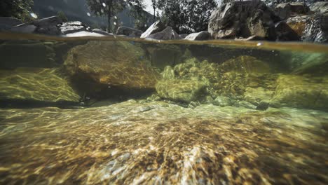 an over-under water video