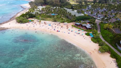 cinematic drone shot of a beautiful scenic tropical beach with lots of people, turtle bay coastline