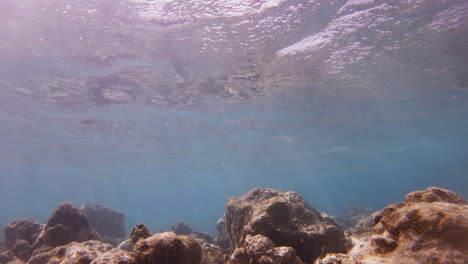 Cinematic-underwater-shoot-of-sun-rays-bursting-through-the-ocean-surface-creating-caustics-on-the-surface-of-the-coral-reef-in-4K,-120FPS,-Slomo