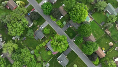 green grass garden of single family houses in american suburbia. aerial top down flyover. spring trees in middle class housing area. quaint and quiet community in united states.