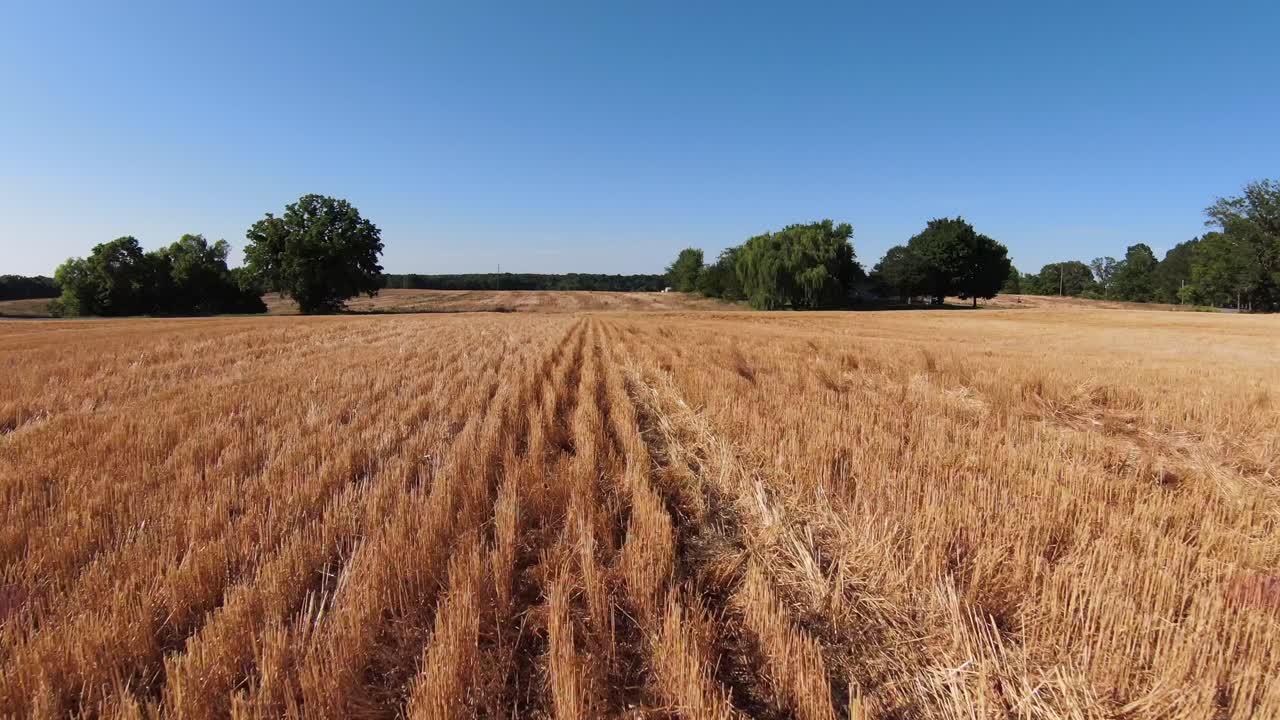 Flying low over harvested grain fields in the fall