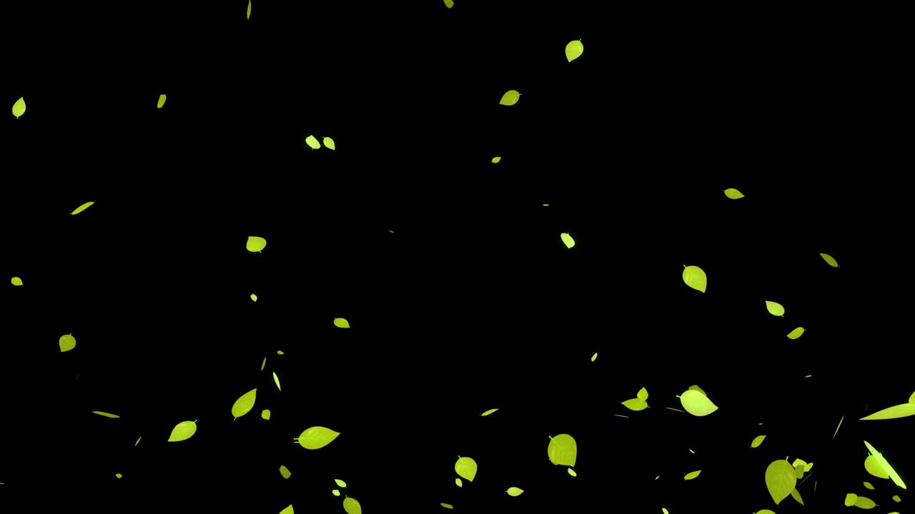 노란색 죽은 잎, 가을의 잎, 추석, 떠오르는 입자, 모션 그래픽