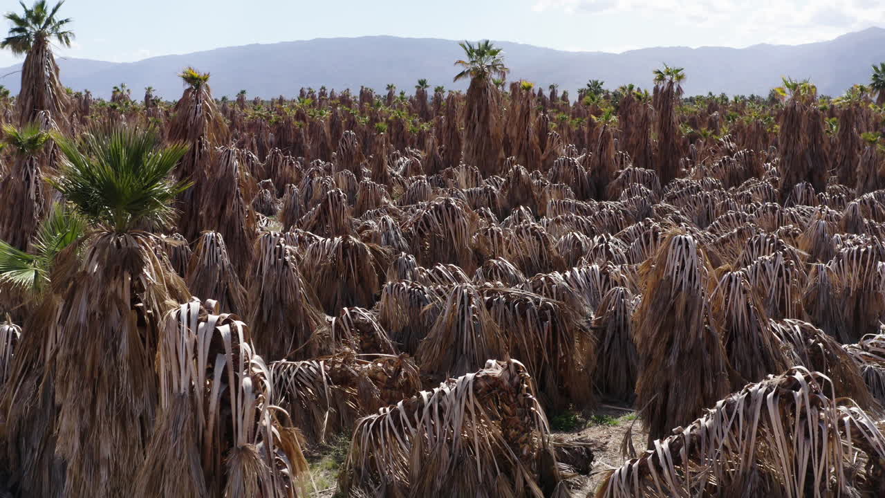 미국 사우스 다코타주 배들랜드 국립공원의 드론 뷰