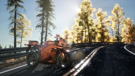 sportbike on tre road in forest