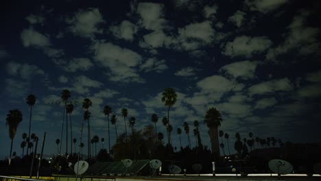 Zeitraffer-Der-Nachtlandschaft-Mit-Palmen-Und-Bewölktem-Himmel